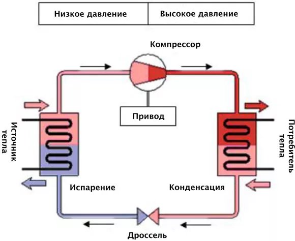 Что вам нужно знать?